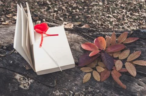 Concept image of romance with open book, red heart and autumn leaves lying ou Stock Photos