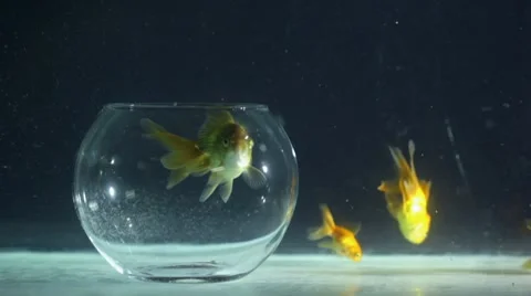 Concept: imagination, solving problems Stock Footage 10738658