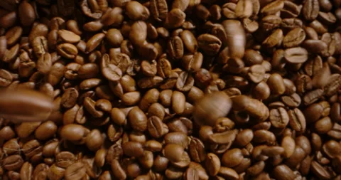 Concept of keeping fresh for coffee grains, storage and transportation Stock Footage 241558703