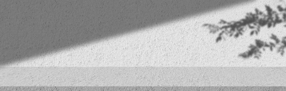 Concept of leaf shadow and light on gray cement surface. Stock Photos