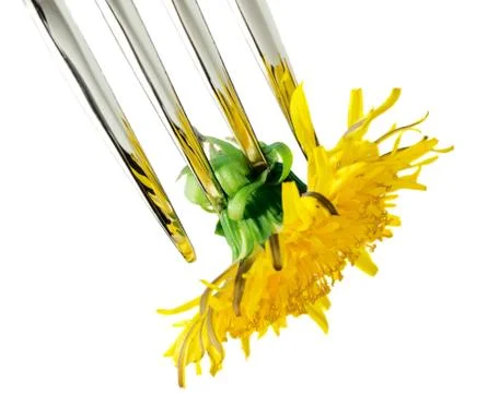 Concept: lenten menu Foto stock