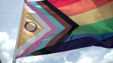 Concept of LGBT Pride Month, Six-band Rainbow flag Stock Footage 276901228