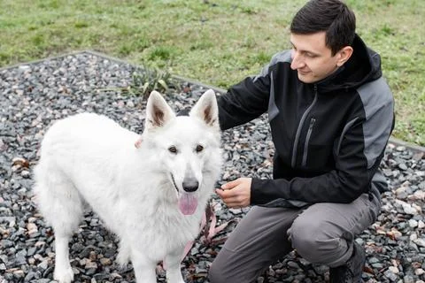Concept of life with pets Stock Photos