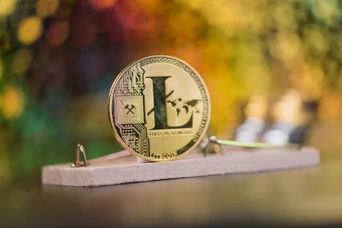 Concept of litecoin in a  mouse trap. Risks and dangers of investing in the c Stock Photos