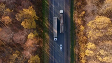 The concept of logistics business. Provision of freight transport for the Stock Footage 163402541