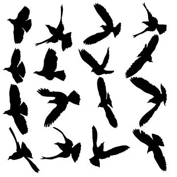 Concept of love or peace. Set silhouettes doves Stock Illustration
