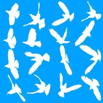 Concept of love or peace. Set silhouettes doves Stock Illustration