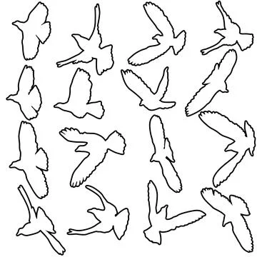 Concept of love or peace. Set silhouettes doves Stock Illustration