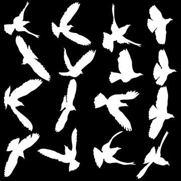 Concept of love or peace. Set silhouettes doves Stock Illustration