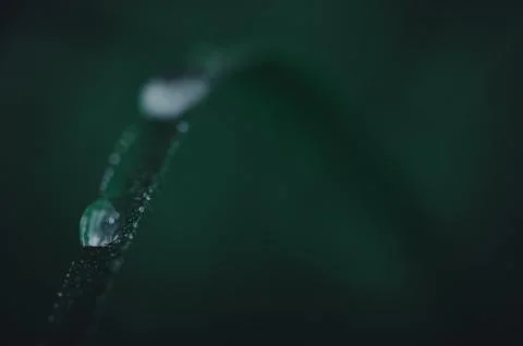 The concept of love the world green environment Stock Photos