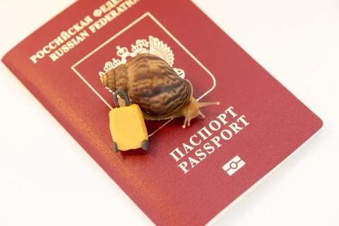 Concept of low speed document clearance, snails and passport 写真素材
