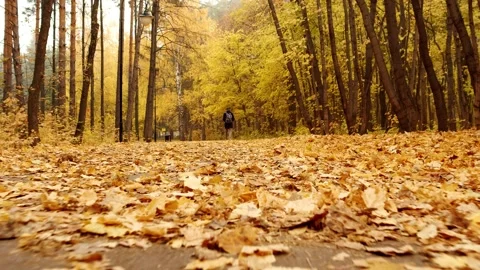 The concept of making from stress through walks in the fresh air. The young man Stock Footage 165191966