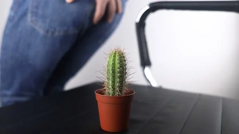 Concept. A man holds a cactus as a symbol of rectal pain. Varicose veins of the  Stock Footage 170479844