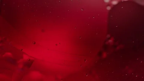 Concept of microbiology, blood study under a microscope, red fluid, cell Video stock 128718785