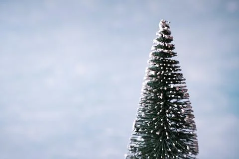 Concept mini christmas tree isolated Stock Photos