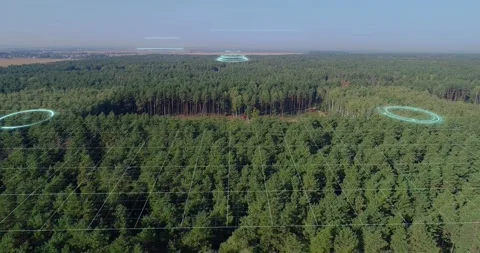 The concept of modern logging. Visualization of the modern logging industry 库存影片 233339769