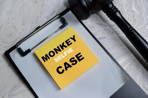 Concept of monkey selfie case write on sticky notes isolated on Wooden Table Stock Photos