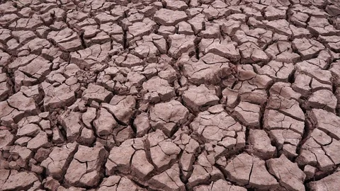The concept of natural disasters: a Pickaxe to the arid ground Stock Footage 113208831