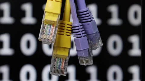 Concept of network technologies with ethernet cables and binary code Stock Footage 345911982