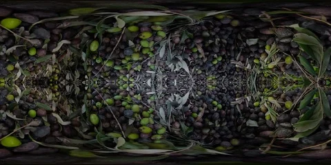 Concept of olive processing, about to be washed, crushed, pressed, and bottled. 스톡 동영상 98762715