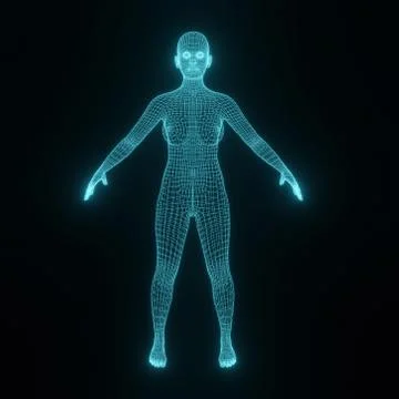 Concept or conceptual 3D wireframe young human female Stock-Illustration