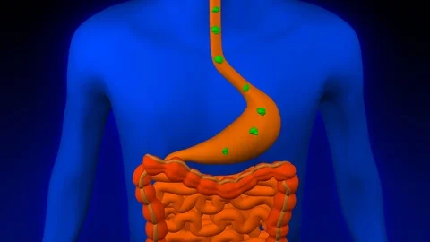 Concept: overeating. 3D rendering. Stock Footage 72897501