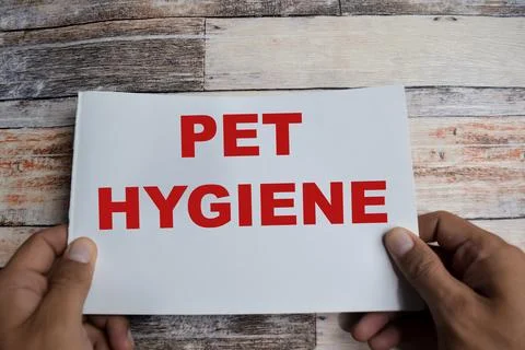 Concept of Pet hygiene write on book isolated on Wooden Table. Stock Photos