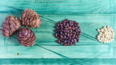 Concept pine cones pine nuts peeled pine nuts 스톡 사진
