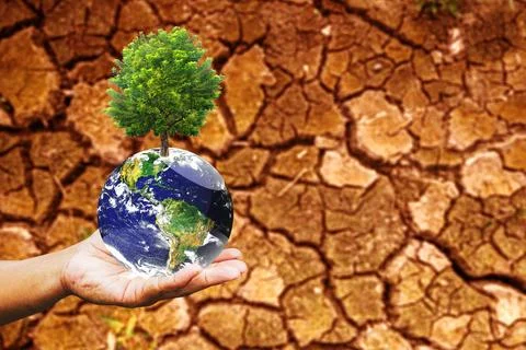 Concept of planting trees to solve drought problems. save the world save the  Stock-Fotos