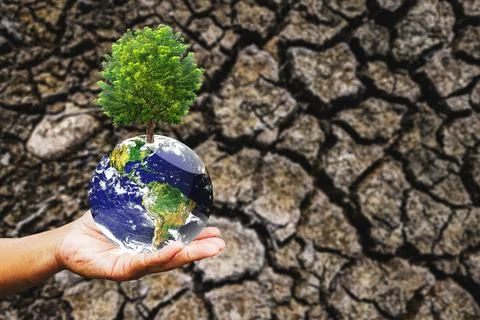 Concept of planting trees to solve drought problems. save the world save the  Stock-Fotos