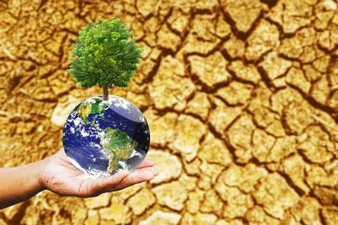 Concept of planting trees to solve drought problems. save the world save the  Stock-Fotos