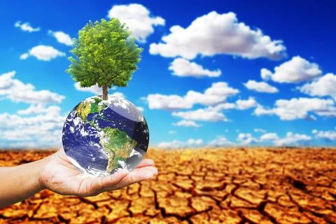 Concept of planting trees to solve drought problems. save the world save the  Stock-Fotos