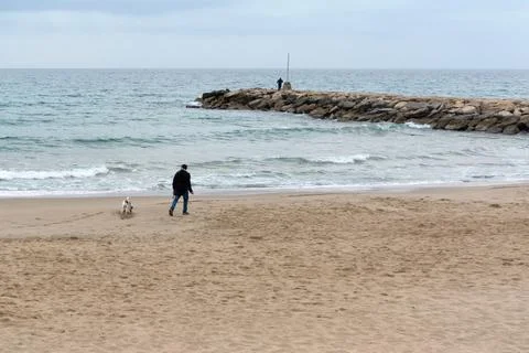 Concept play with pets. Unrecognizable man playing with his dog Stock Photos