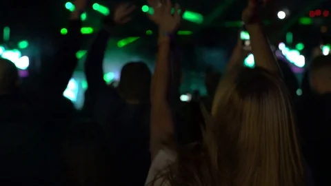 Concept portrait of crowd in front of the scene alternative indie rock concert Stock Footage 118133462