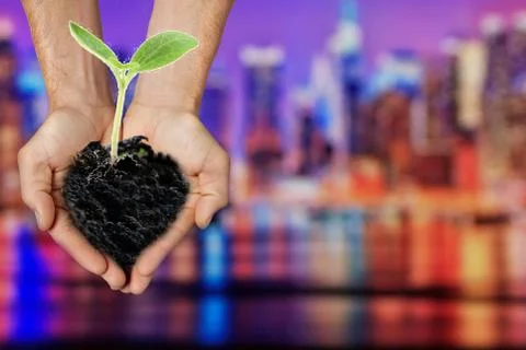 Concept to the problem of the environment - burning of garbage. Incineration  Stock Photos
