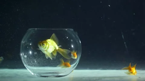 Concept: problems with imagination Stock Footage 10738623