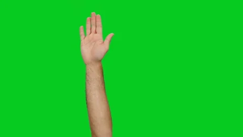 Concept of raised hand as a symbol of voting isolated on green screen Stock Footage 126513793