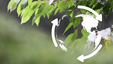 Concept recycle earth globe environment Stock Footage 322132314