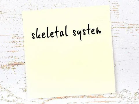 Concept of reminder about skeletal system. Yellow sticky sheet of paper on wo Stock Photos