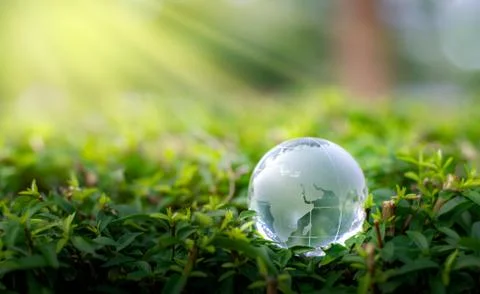 Concept Save the world save environment The world is in the grass of the gree Stock Photos