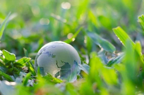 Concept Save the world save environment The world is in the grass of the gree Stock Photos