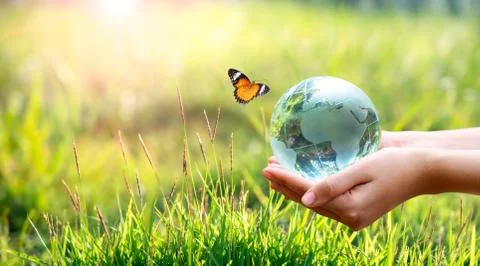 Concept Save the world save environment The world is in the grass of the gree Stock Photos