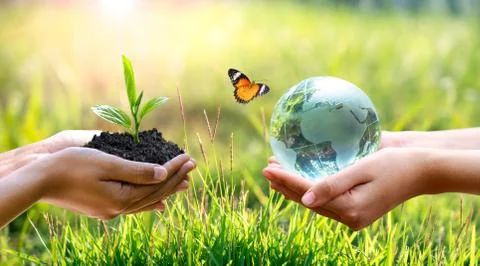 Concept Save the world save environment The world is in the grass of the gree Stock Photos