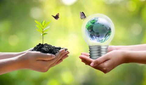 Concept Save the world save environment The world is in the grass of the gree Stock Photos