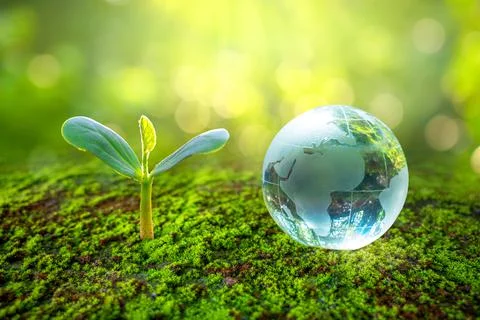 Concept Save the world save environment The world is in the grass of the gree Stock Photos