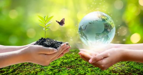 Concept Save the world save environment The world is in the grass of the gree Stock Photos