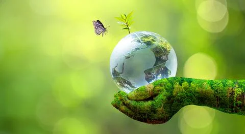 Concept Save the world save environment The world is in the grass of the gree Stock Photos