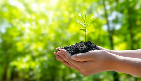 Concept Save the world save environment The world is in the grass of the gr.. Stock Photos