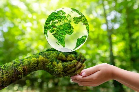 Concept Save the world save environment The world is in the grass of the gr.. Stock Photos