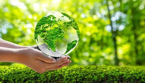 Concept Save the world save environment The world is in the grass of the gr.. Stock Photos